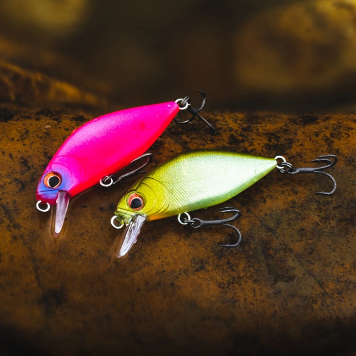 Hard Body Lure 45mm